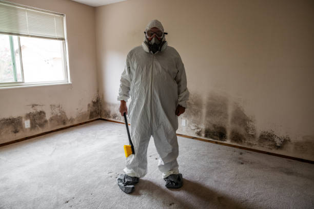 Best Commercial Mold Remediation in Warm Mineral Springs, FL